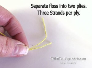 Paper Pumpkin March 2015 Sew You -  Seperating floss at WildWestPaperArts.com