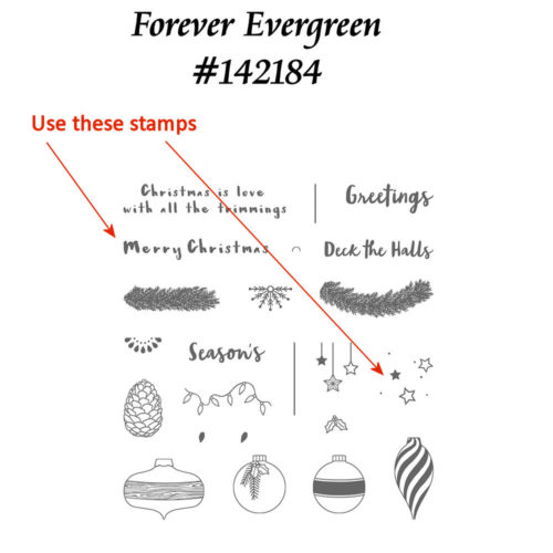 Forever Evergreen Stamp Set 142184 at WildWestPaperArts.com