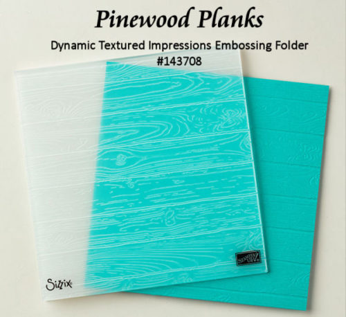 Pinewood Planks Dynamic Textured Impressions Embossing Folder at WildWestPaperArts.com