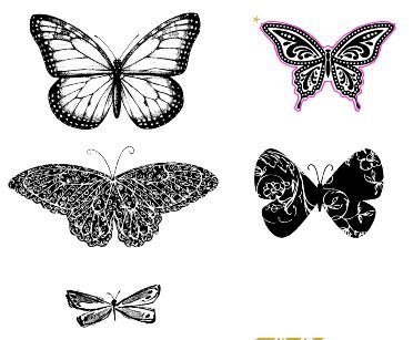 #133345 Best of Butterflies