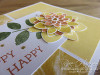 Crazy Case For You at WildWestPaperArts.com