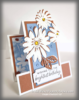 Daisy Steps at Wild West Paper Arts