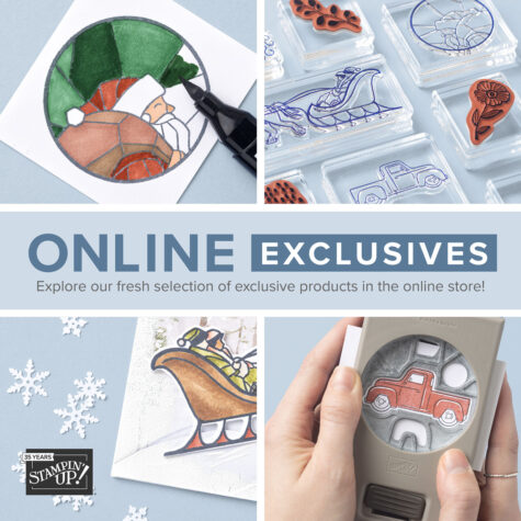 Stampin' Up! Online Exclusives July 2023 at Wild West Paper Arts