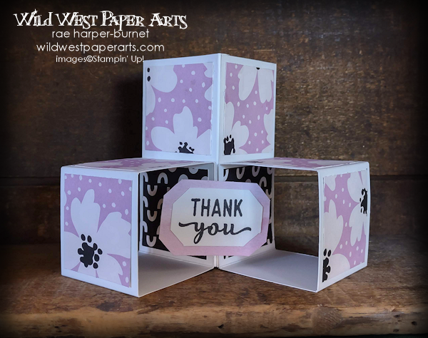Three Cubes for Creative Creases 62 at Wild West Paper Arts