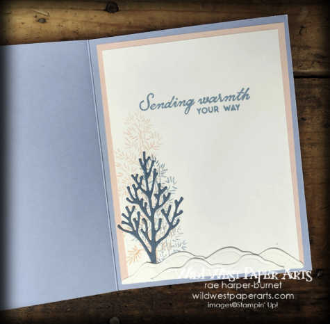 Season of Cheerful Folds CC65 at Wild West Paper Arts