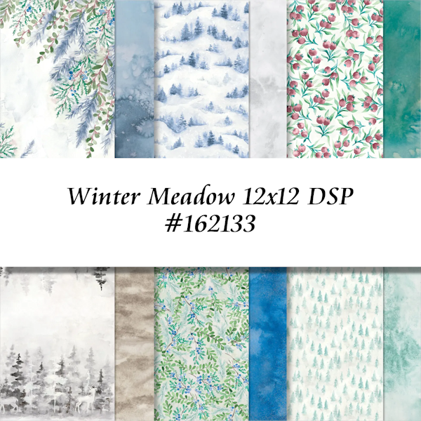 Winter Meadow 12x12 DSP #162133