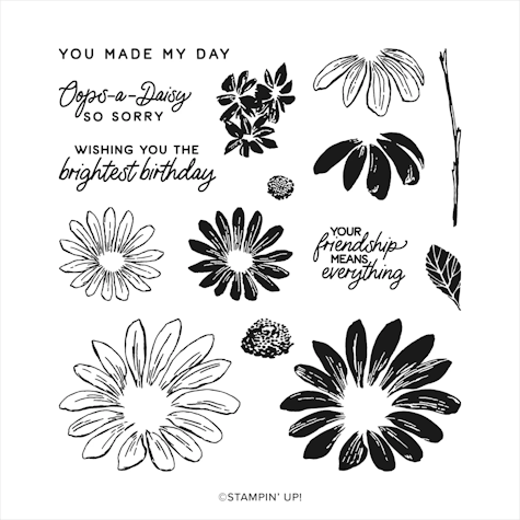 Cheerful Daisies Stamp Set at WildWestPaperArts.com