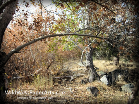 Autumn in the Pine Nut Range Northern Nevada WildWestPaperArts.com