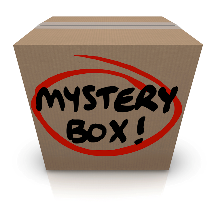 Mystery Box from WildWestPaperArts.com