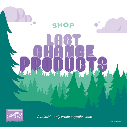 Stampin' Up! Last Chance Products at WildWestPaperArts.com