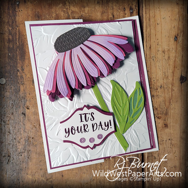 Coneflower Fun at WildWestPaperArts.com