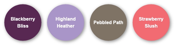 Purple Coneflower Colors