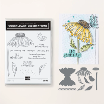 Coneflower Celebration Bundle at WildWestPaperArts.com