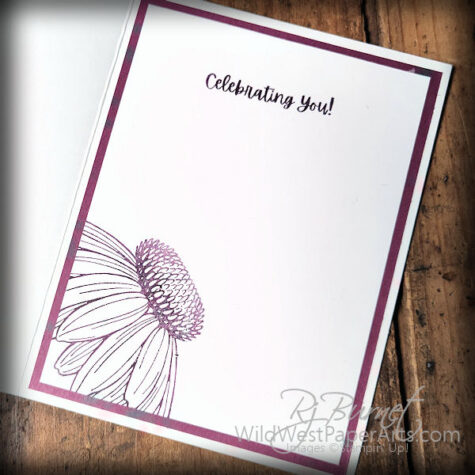 Coneflower Fun at WildWestPaperArts.com