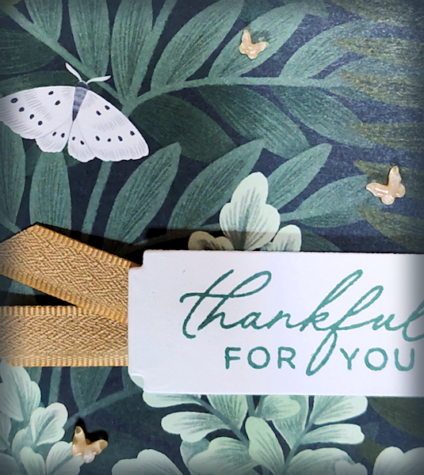 2026-2028 In Color Butterflies